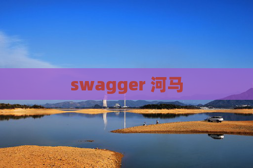 swagger 河马